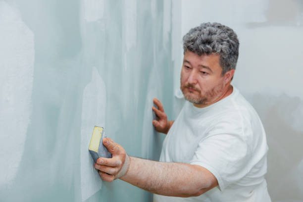 Best Mold Removal for HVAC Installations  in Palouse, WA