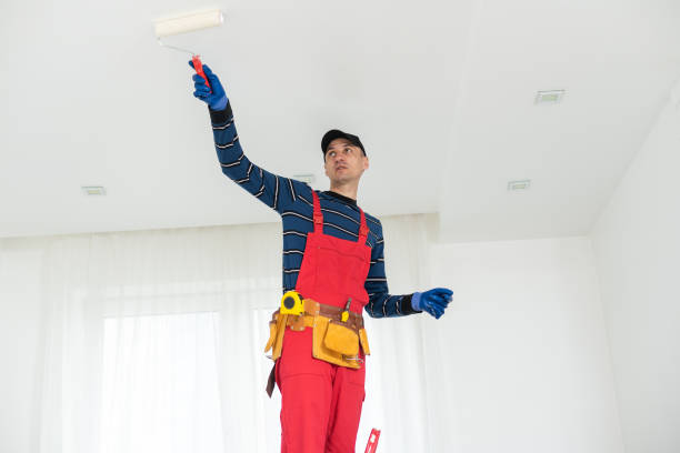 Palouse, WA Mold Removal Company